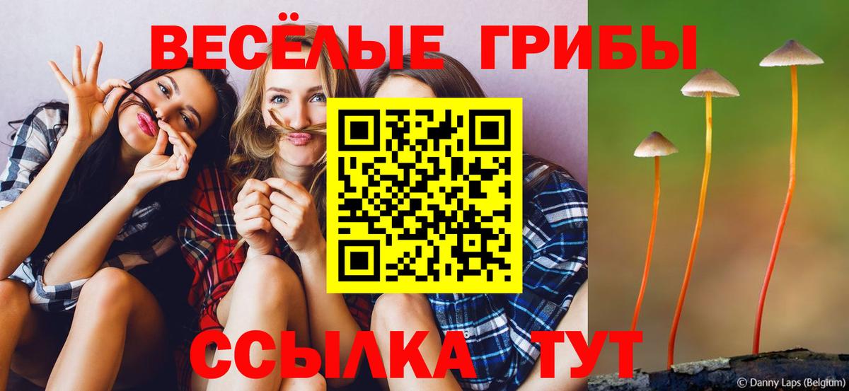 Псилоцибиновые грибы GOLDEN TEACHER  Псилоцибиновые грибы прущие грибы  Касимов  Вход с VPN 